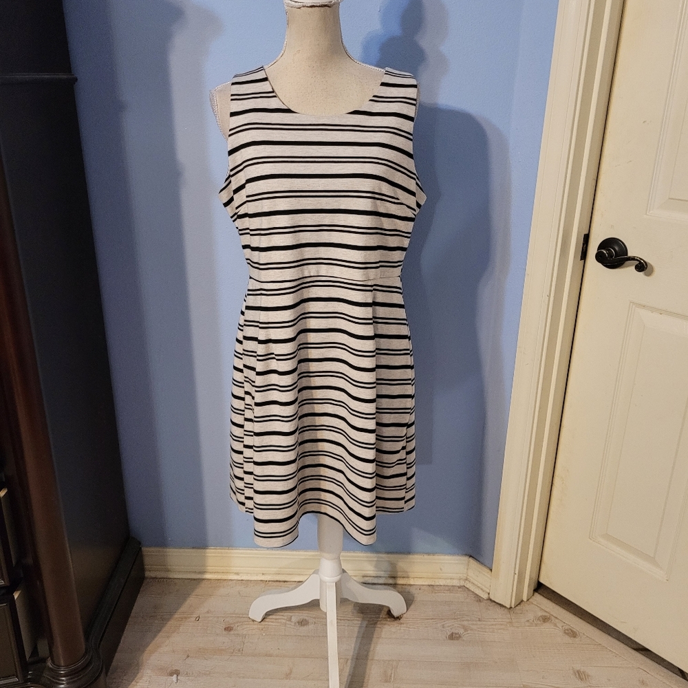 Maurices Xlarge Womens Dress